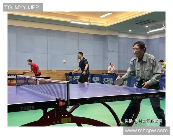 陈娜乒乓球人生的深度对话与成长历程探秘